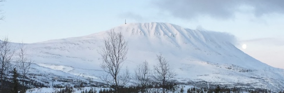 Vinter