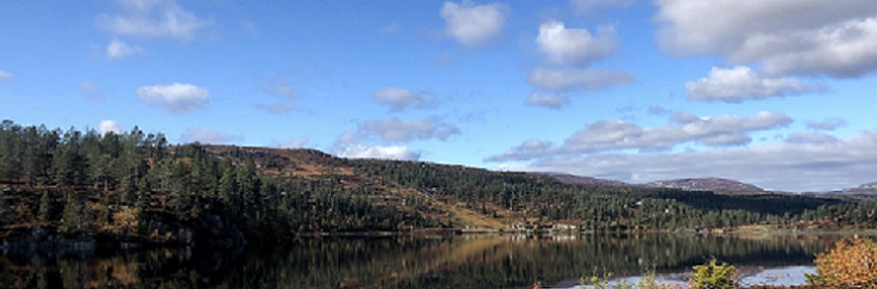 høst